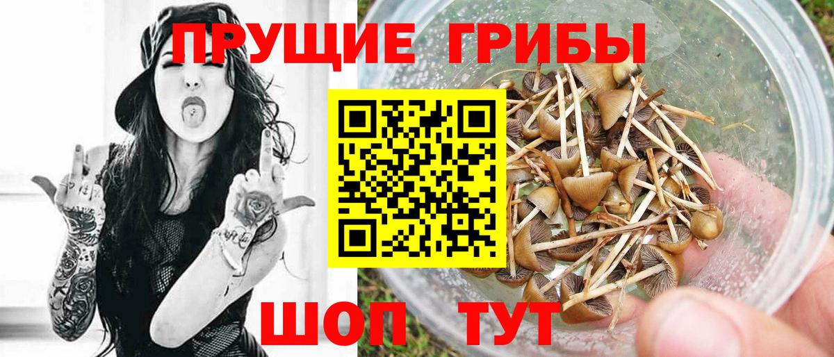 Галлюциногенные грибы Cubensis Комсомольск-на-Амуре